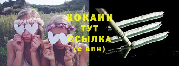 мдпв Ветлуга