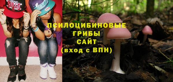 экстази Бородино