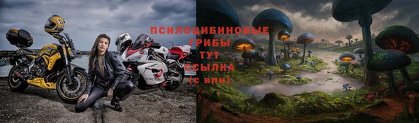 экстази Бородино